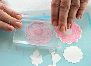 Clear Stamp on Mat with Cut Die Line
