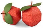 Cornucopia Fruit Apples