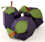 Cornucopia Fruit Plums