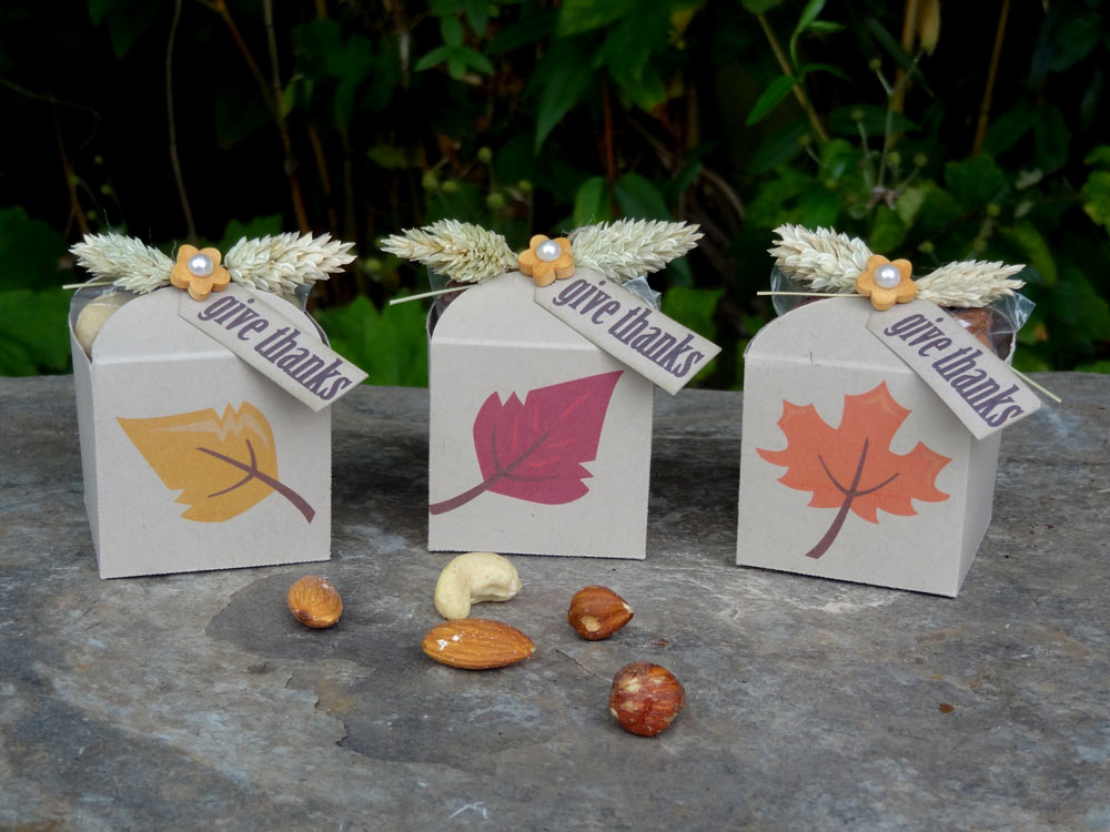 Fall Thanksgiving Favor Boxes