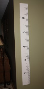 Wood and Vinyl Giant Wall Ruler