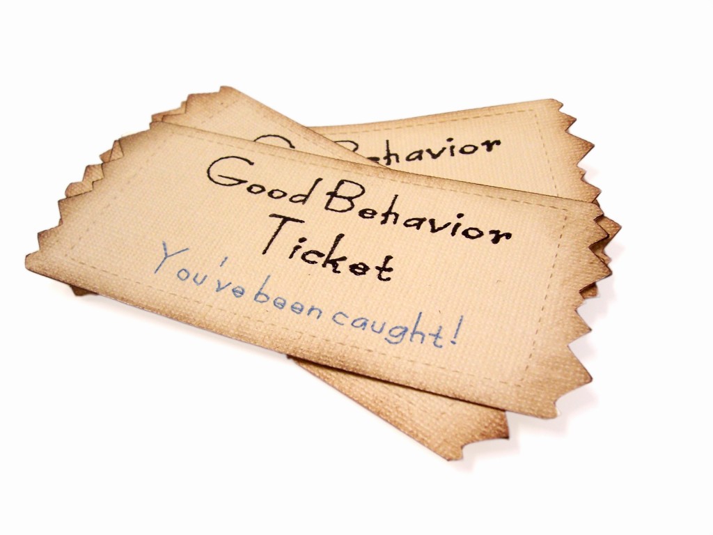 Good Behavior Tickets