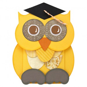Graduation-Money-Holder-Owl-Outside
