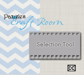 Selection Tool 295x262