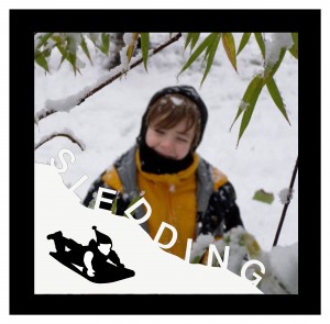 SleddingPic