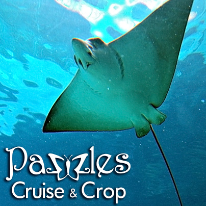 Visit Grand Cayman and Stingray City while on Pazzles Cruise and Crop
