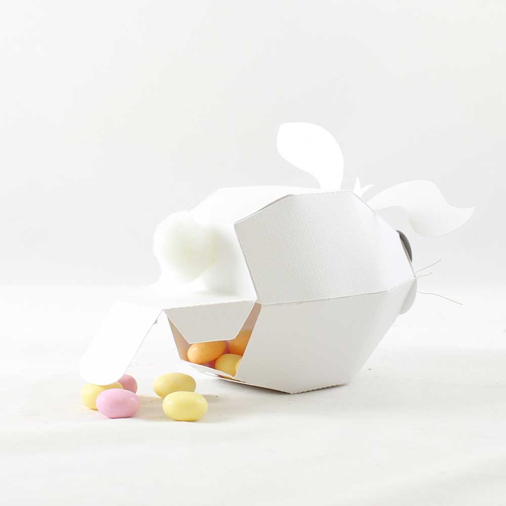 Bunny treat boxes for Easter basket ideas