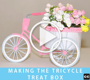 Tricycle Treat Box