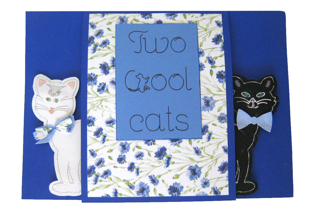 Cat Lover Anniversary Card